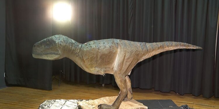 Pesquisadores apresentam fóssil inédito de dinossauro carnívoro que viveu em Monte Alto, SP, há 70 milhões de anos