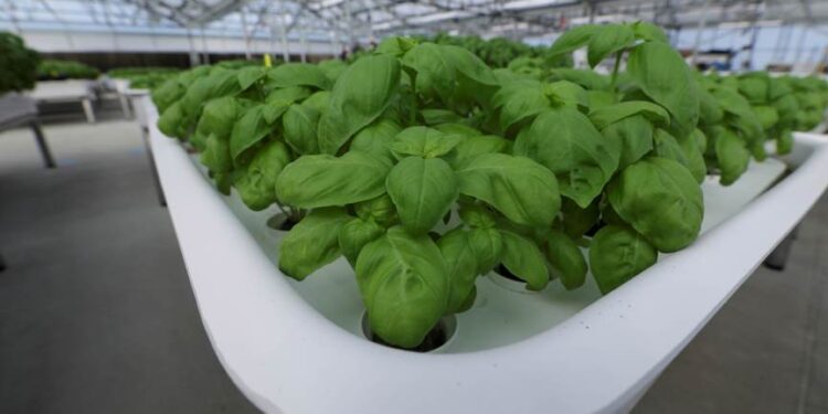 Fundo de tecnologia de Bill Gates aposta em startup de ‘robôs agricultores’