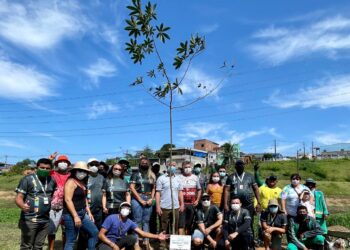Para comemorar o aniversário de Manaus, Prefeitura presenteia a cidade com o plantio de 352 mudas