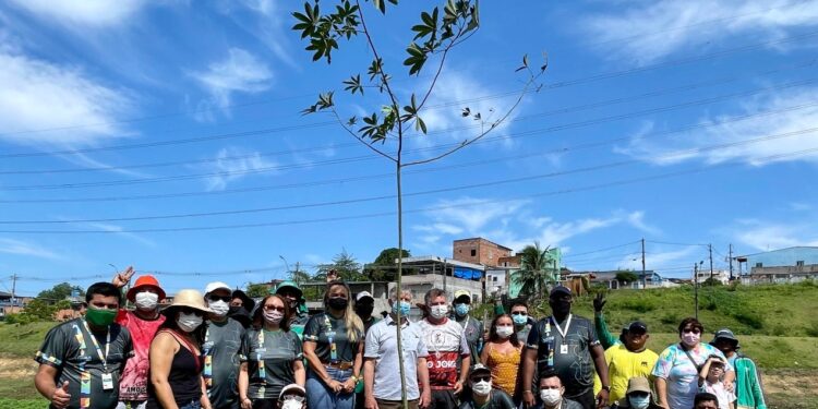 Para comemorar o aniversário de Manaus, Prefeitura presenteia a cidade com o plantio de 352 mudas