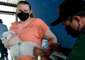 Prefeitura abre inscrições para contratação temporária de 250 vacinadores e registradores para campanha antirrábica