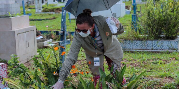 Cemitérios são vistoriados pela Prefeitura de Manaus para o controle do Aedes aegypti
