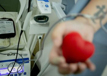 Senado proíbe discriminação a doadores de sangue homossexuais