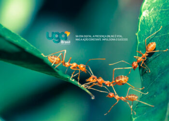 UGA Brasil: Reforçando a Presença Digital em Território Nacional