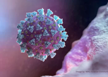 © NEXU Science Communication/ via REUTERS