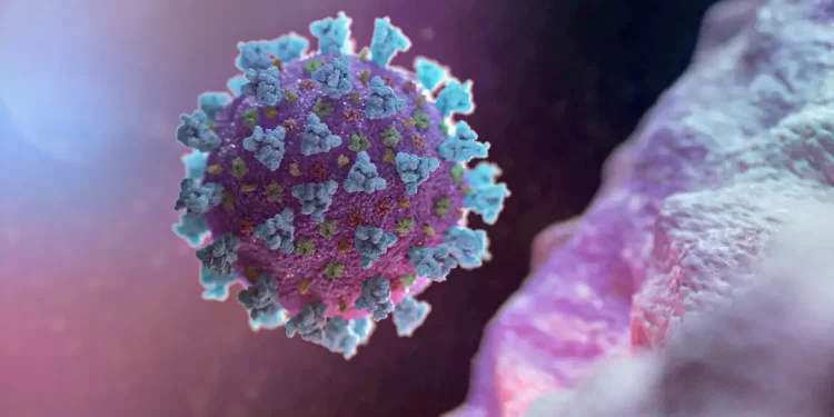 © NEXU Science Communication/ via REUTERS