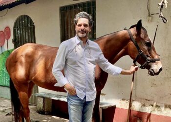 Revolução na Pecuária de Roraima: Sal Rosa do Himalaia Eleva Padrão de Produção Animal