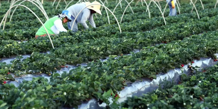 © Valter Campanato/A gência Brasil