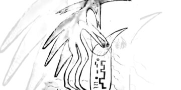 Fotos: Andorinha, que tem a missão de proteger todas as aves do mundo.