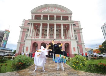 FOTOS: Diego Peres, Alex Pazuello, Antônio Lima, Artur Castro e Mauro Neto / Secom