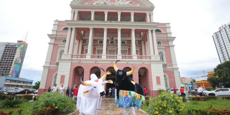 FOTOS: Diego Peres, Alex Pazuello, Antônio Lima, Artur Castro e Mauro Neto / Secom