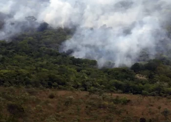 © Valter Campanato/Agência Brasil