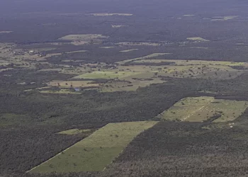 © Thomas Bauer/ SOS Mata Atlântica