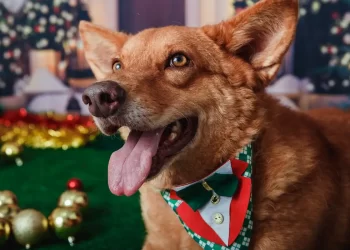 © Divulgação/Vale.