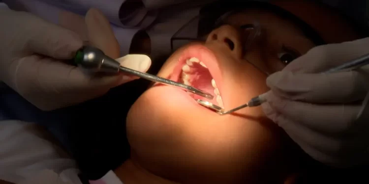 © TV Brasil/Divulgação