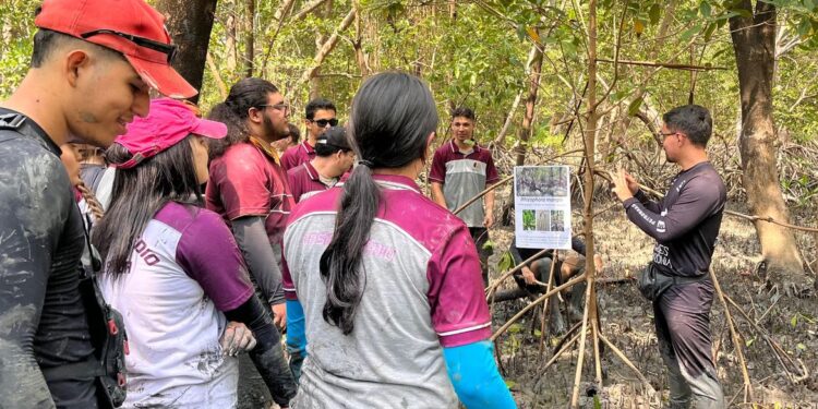© Projeto Mangues da Amazônia/Divulgação