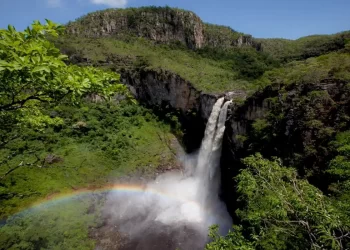 © Rui Faquini/ICMBio