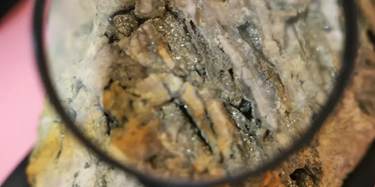 © Tomaz Silva/Agência Brasil