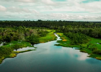© Armando Leandro Ribeiro da Silva/Divulgação