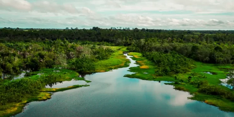 © Armando Leandro Ribeiro da Silva/Divulgação