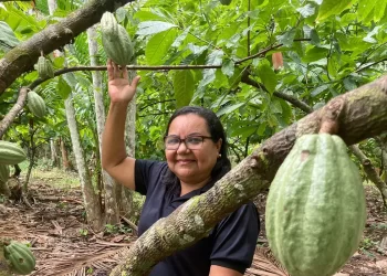 © Fabiola Sinimbú/Agência Brasil