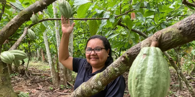 © Fabiola Sinimbú/Agência Brasil