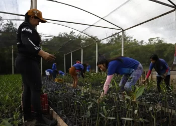 © Fernando Frazão/Agência Brasil