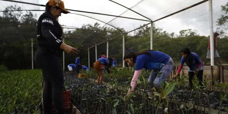© Fernando Frazão/Agência Brasil