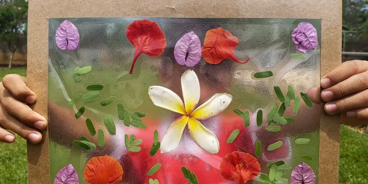 © Liliane Farias/Agência Brasil