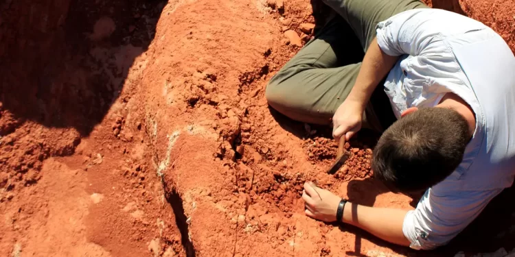 © Janaína Brand Dillmann