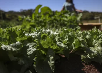 © Marcelo Camargo/Agência Brasil