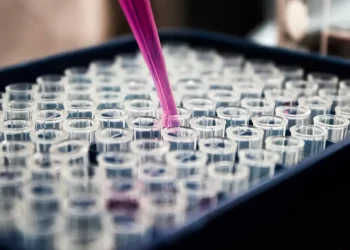 © Louis Reed/Unsplash