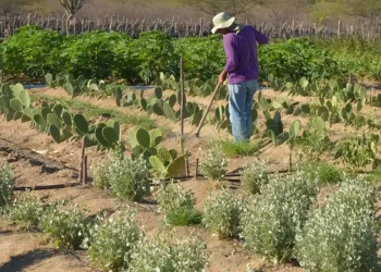 © Arquivo/Agência Brasil