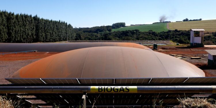 © Tânia Rêgo/Agência Brasil