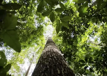 © Marcelo Camargo/Agência Brasil