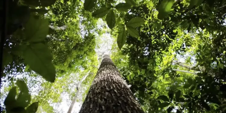 © Marcelo Camargo/Agência Brasil