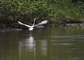 © Fernando Frazão/Agência Brasil