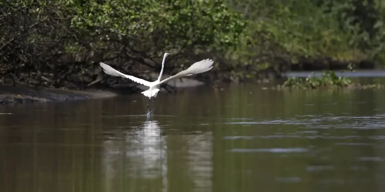 © Fernando Frazão/Agência Brasil