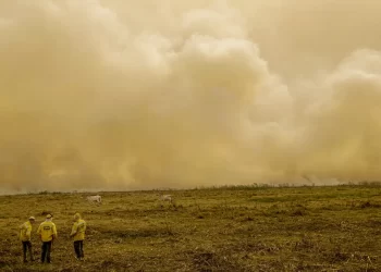 © Joédson Alves/Agência Brasil