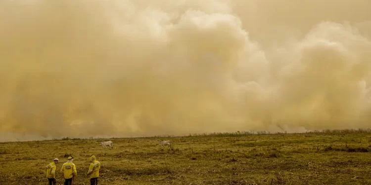 © Joédson Alves/Agência Brasil