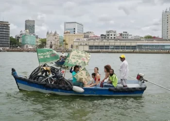 © Amazônia de Pé/Divulgação