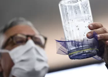 © Marcelo Camargo/Agência Brasil