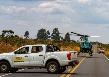 © Mayandi Inzaulgarat/ICMBio