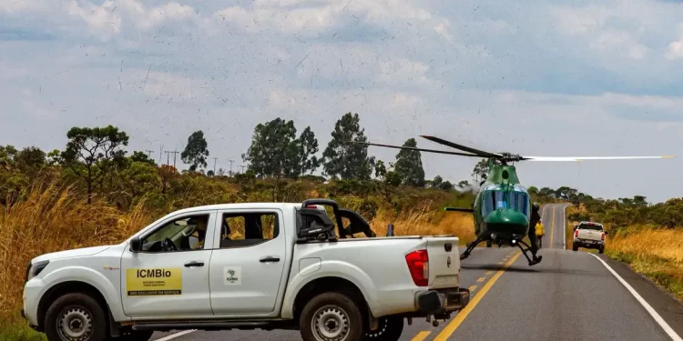 © Mayandi Inzaulgarat/ICMBio