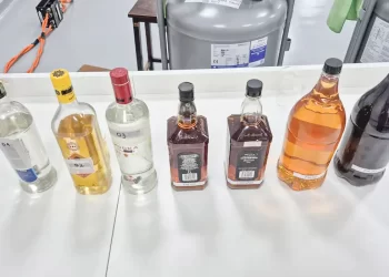 © UFPR/Divulgação