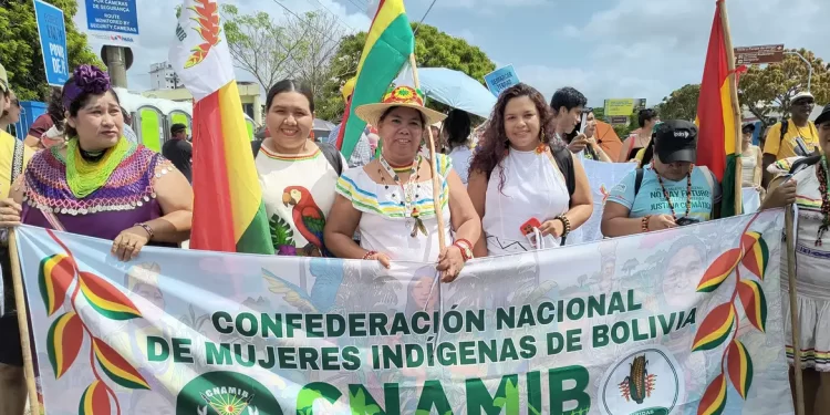 © Rafael Cardoso/Agência Brasil