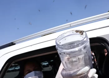 © Marcelo Camargo/Agência Brasil