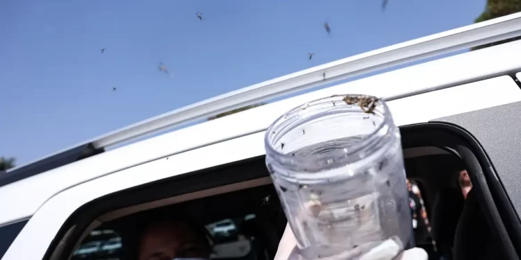 © Marcelo Camargo/Agência Brasil