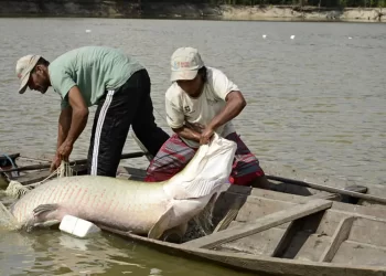© Adriano Gambarini/OPAN - Divulgação