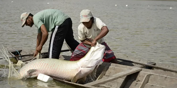 © Adriano Gambarini/OPAN - Divulgação